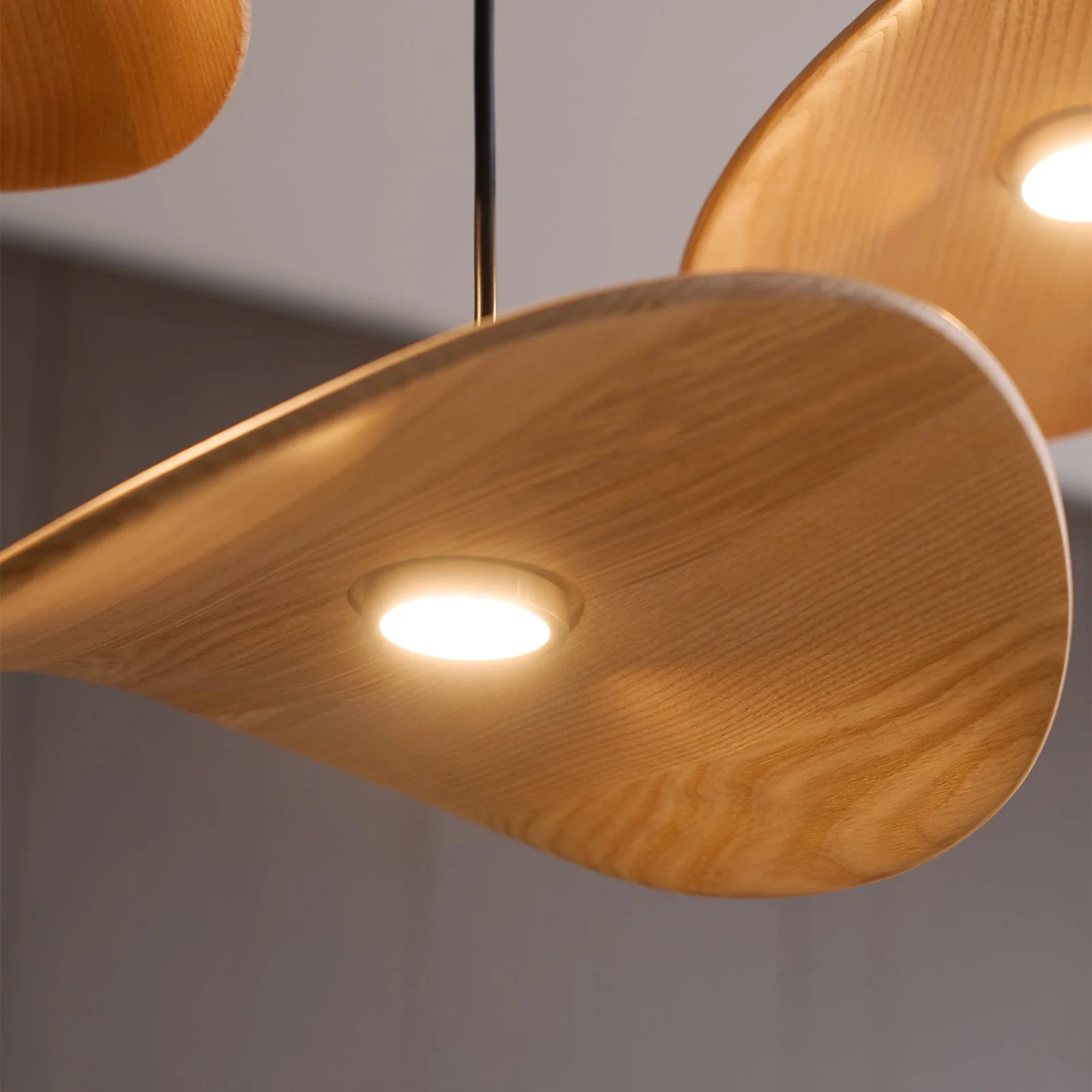 Abbott Modern Minimalist Empty Leaf Wood Chandelier - Image 50