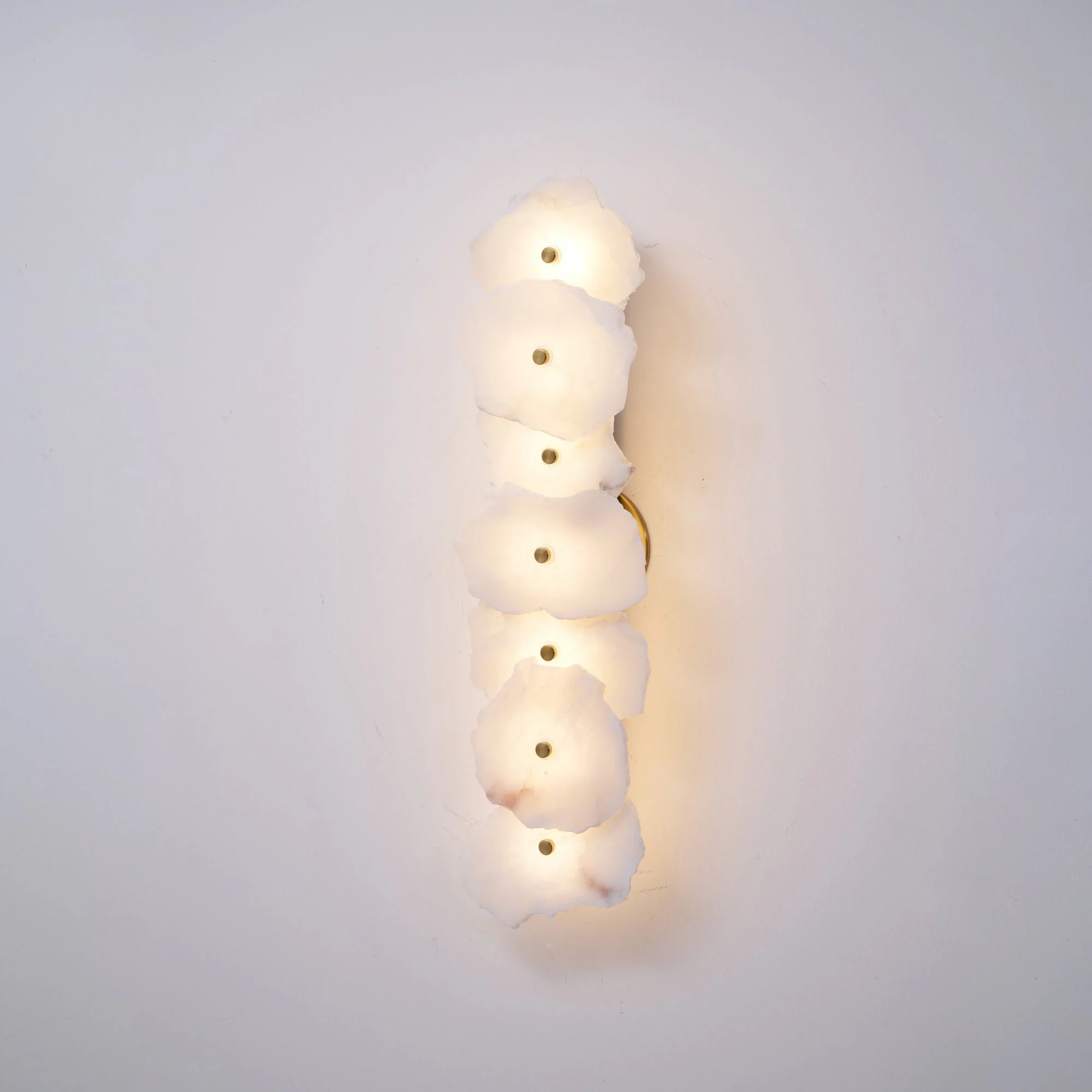 Alaeila Floral Cluster Alabaster Wall Light - Image 47