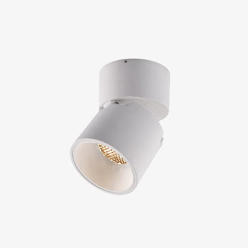 Alvynora Modern Minimalist Spotlights Ceiling lamp - Image 27