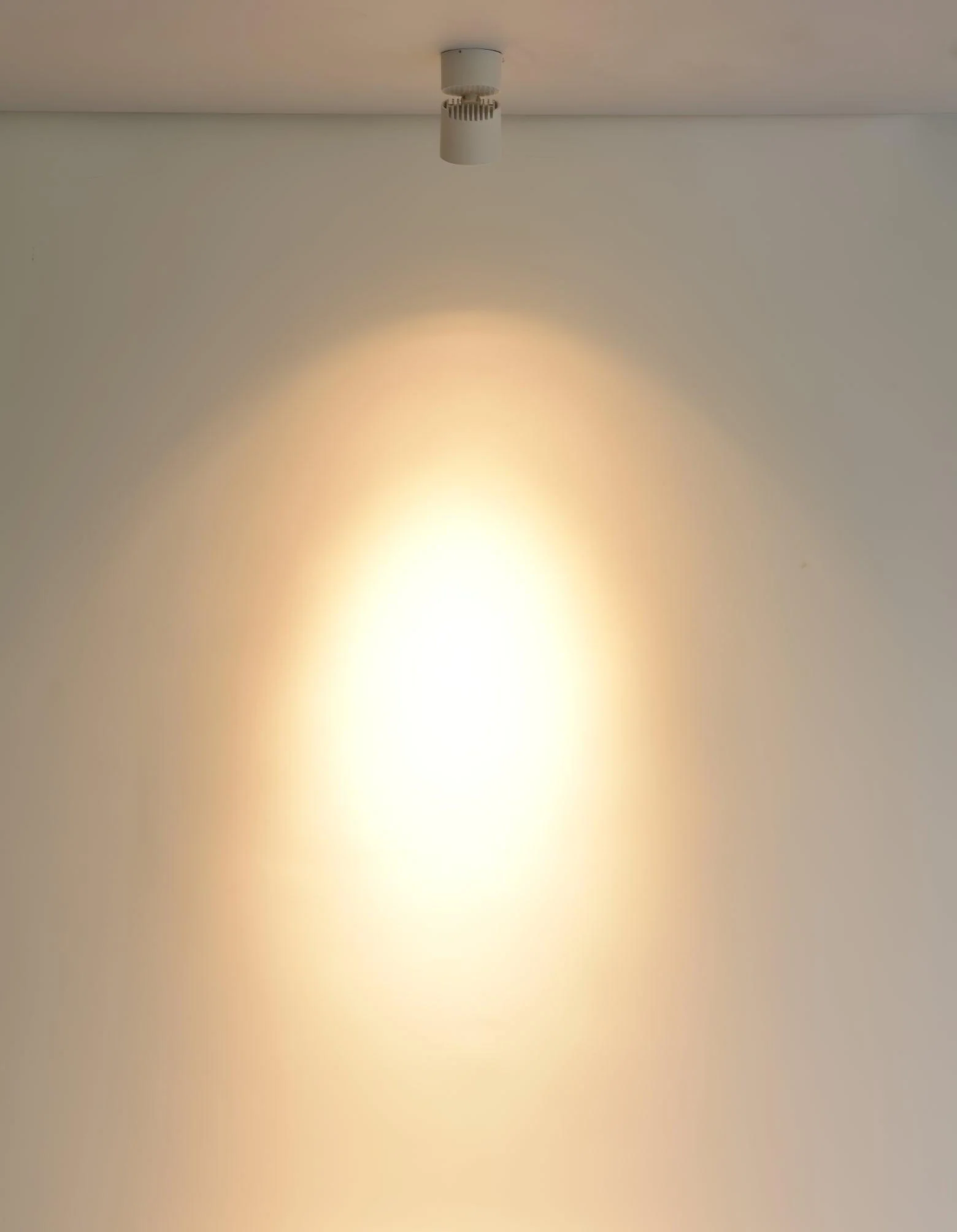 Alvynora Modern Minimalist Spotlights Ceiling lamp - Image 7