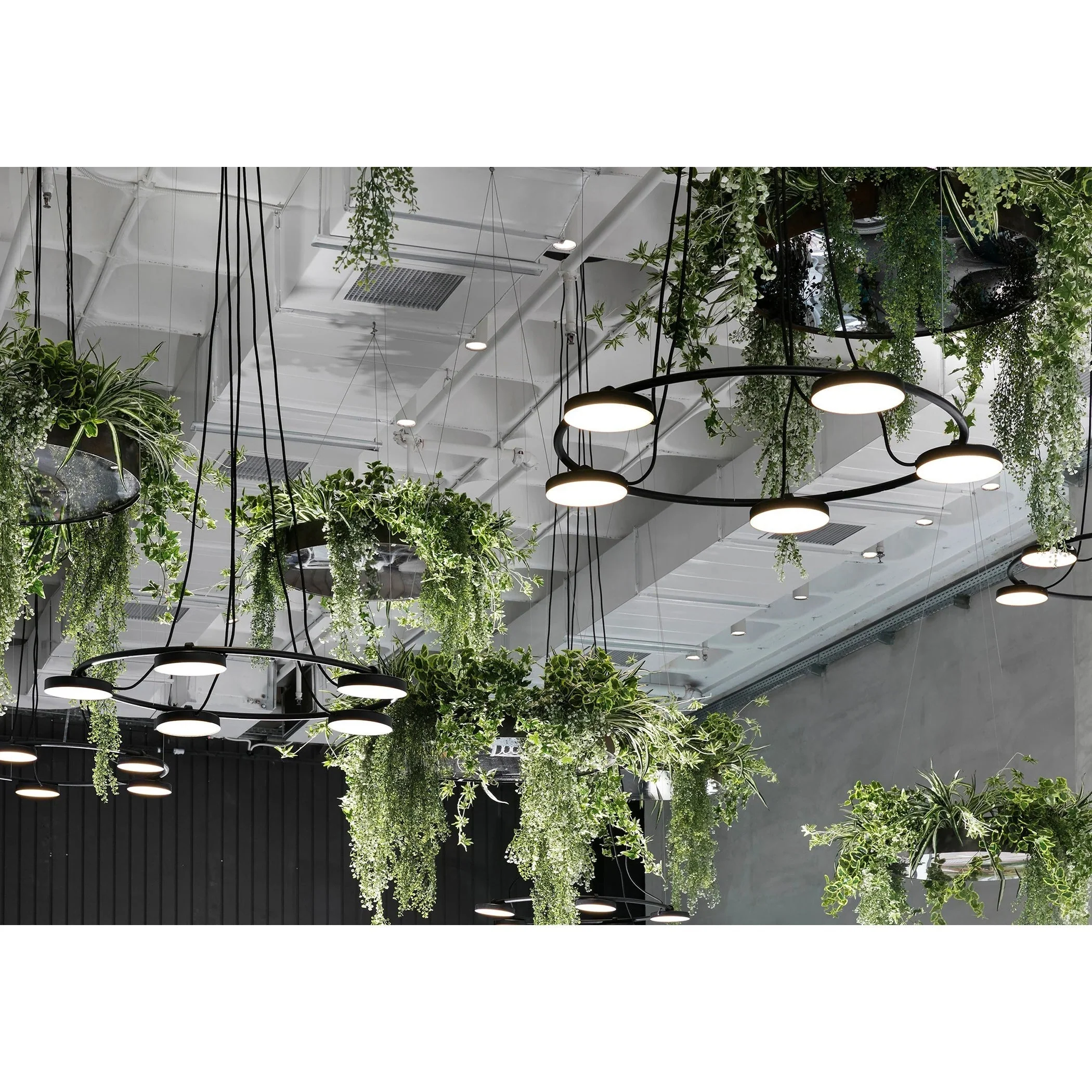Aro Modern Chandelier - Image 16