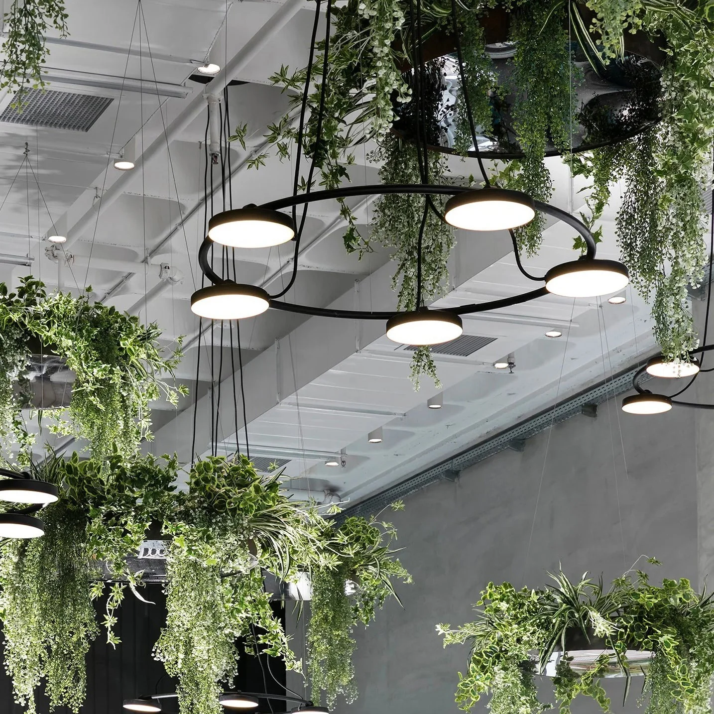 Aro Modern Chandelier - Image 2