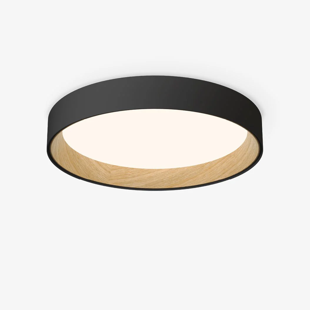 Caraeara Modern Minimalist Round Ceiling Lamp - Image 5