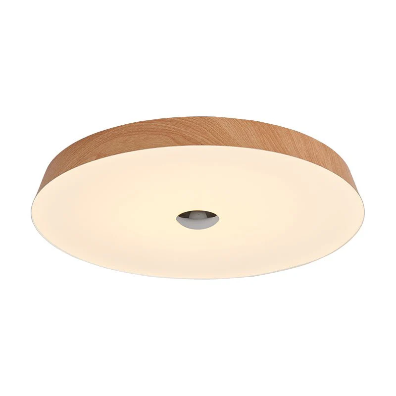 Ceshaora Modern Minimalist Woodgrain Ceiling Light - Image 14