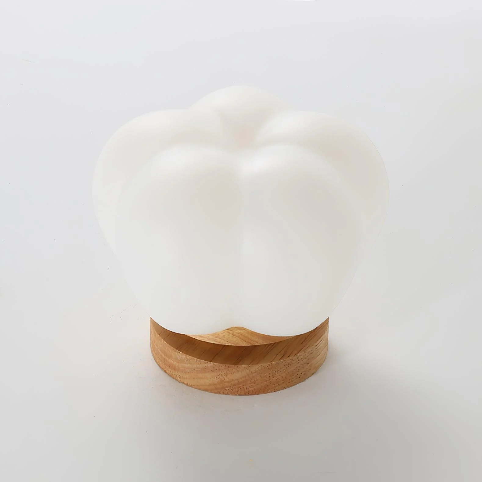 Cinorisra Nordic Art Flower Mini Ceiling Lamp - Image 13
