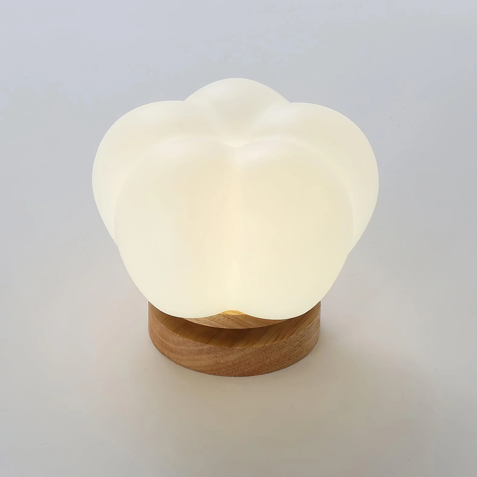 Cinorisra Nordic Art Flower Mini Ceiling Lamp - Image 14