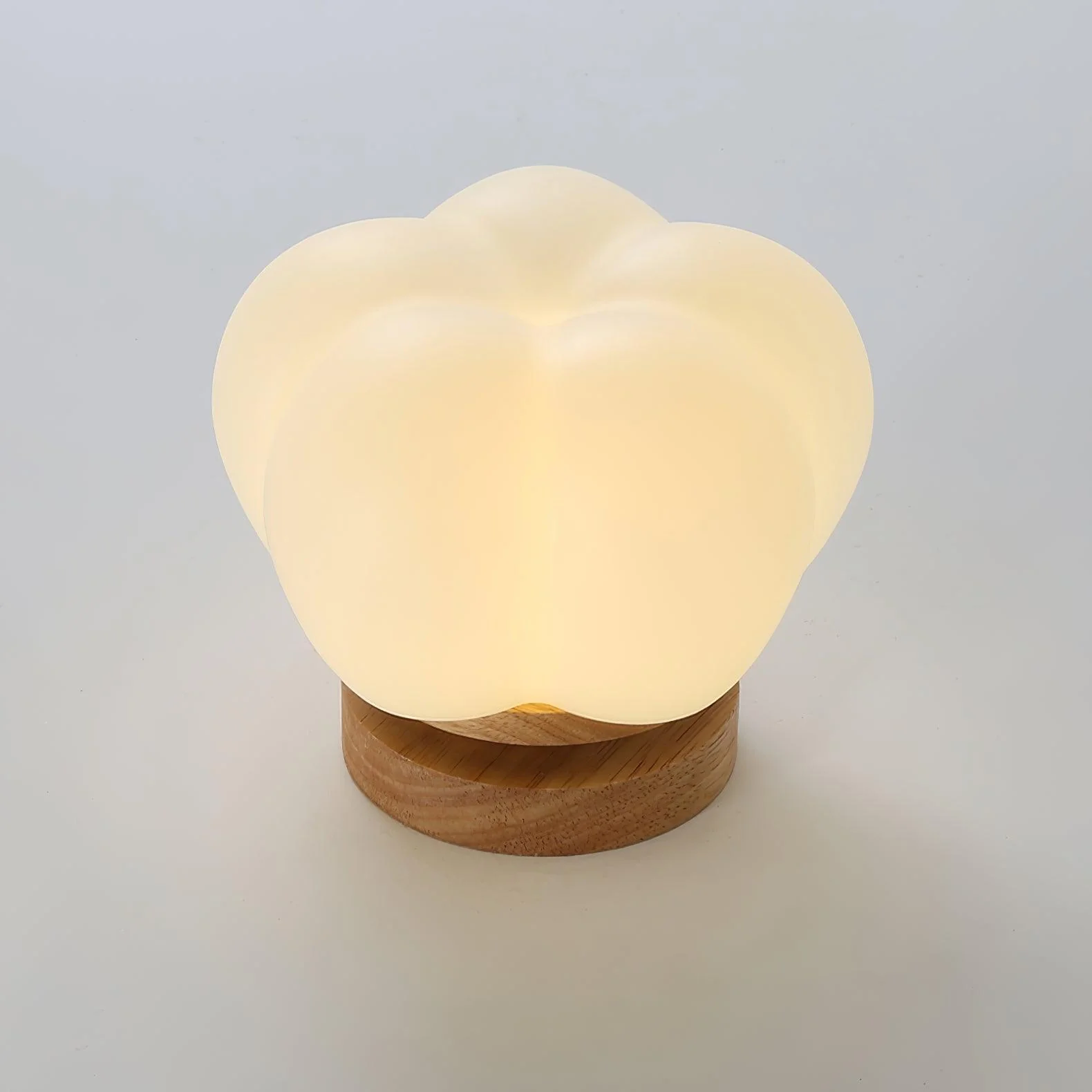 Cinorisra Nordic Art Flower Mini Ceiling Lamp - Image 15