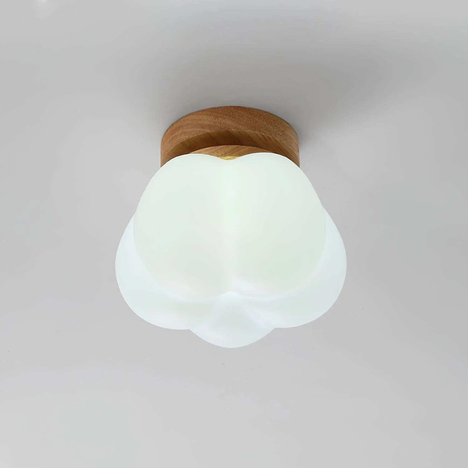 Cinorisra Nordic Art Flower Mini Ceiling Lamp - Image 16