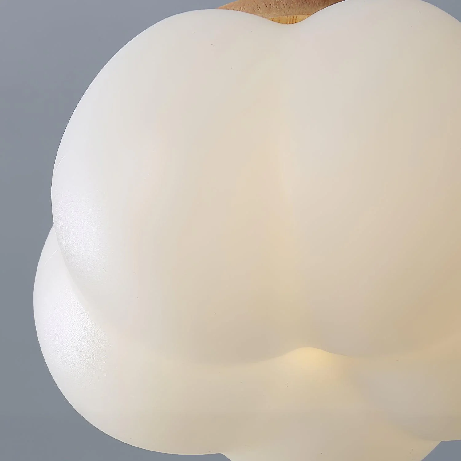 Cinorisra Nordic Art Flower Mini Ceiling Lamp - Image 19