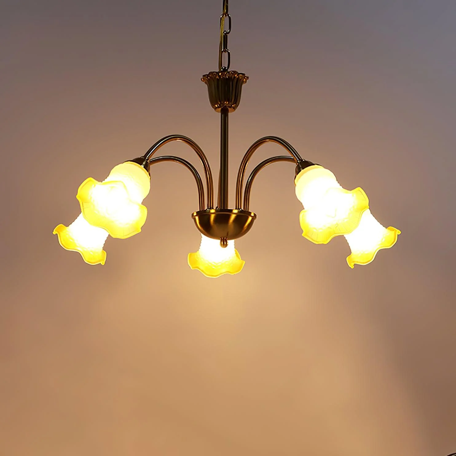 Diane Vintage Glass Chandelier - Image 8