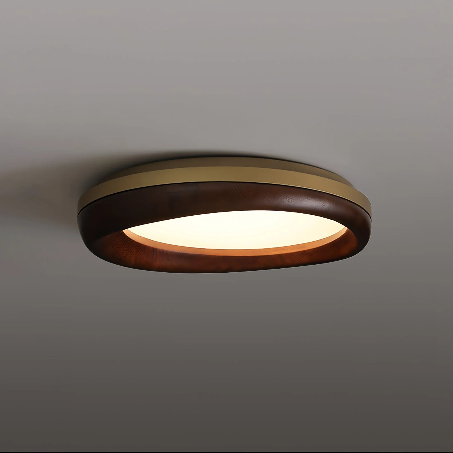 Eurtheara Organic Wood Glass Ceiling Light - Image 45