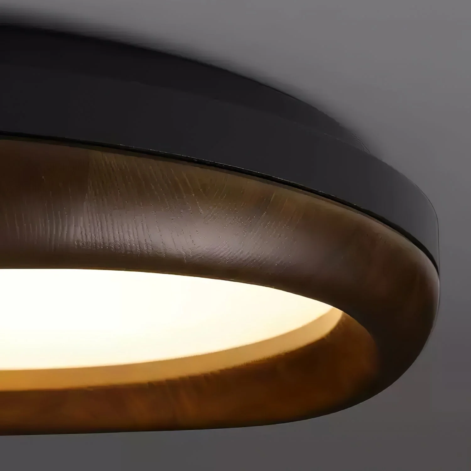 Eurtheara Organic Wood Glass Ceiling Light - Image 56