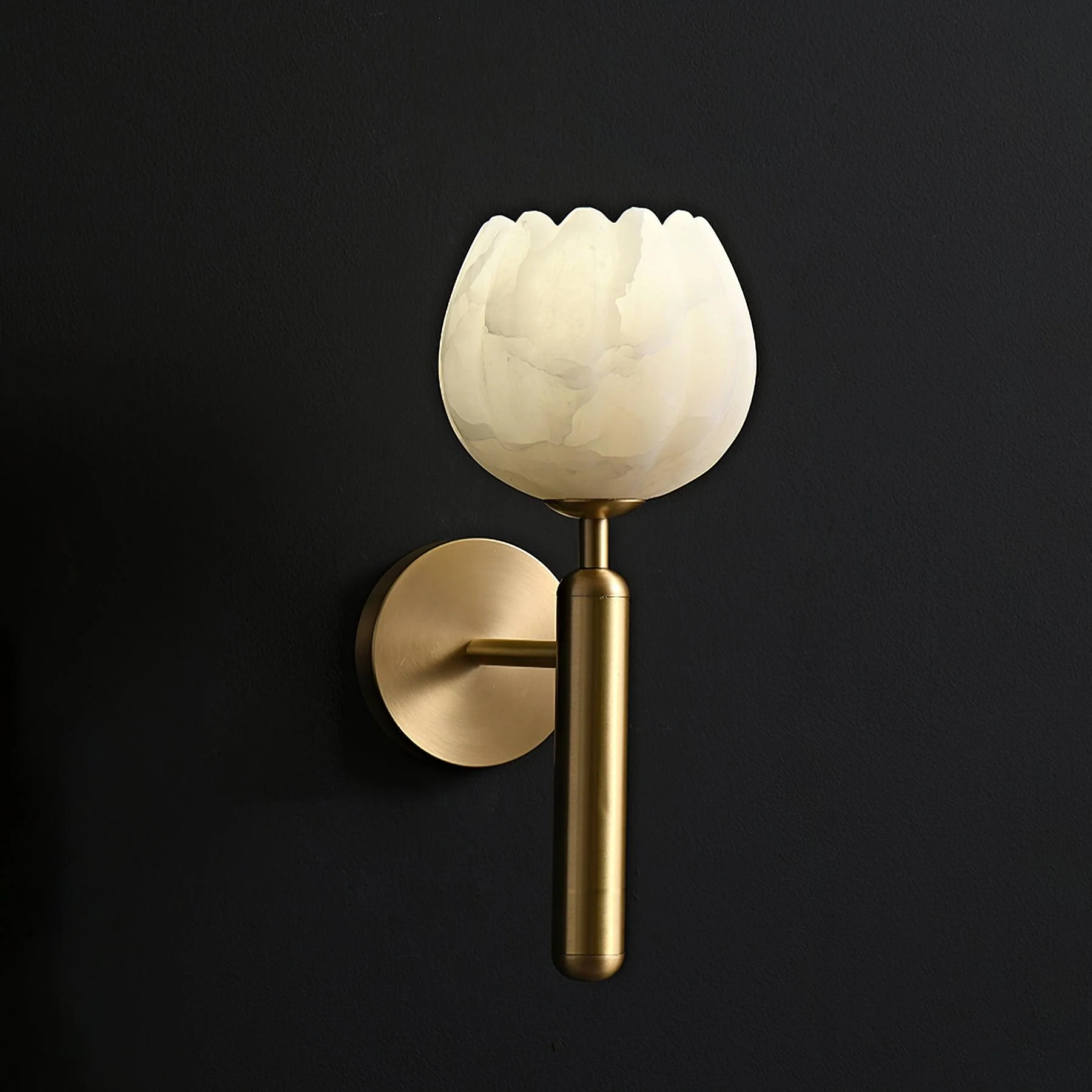 Eurzorion Floral Alabaster Brass Wall Light - Image 28