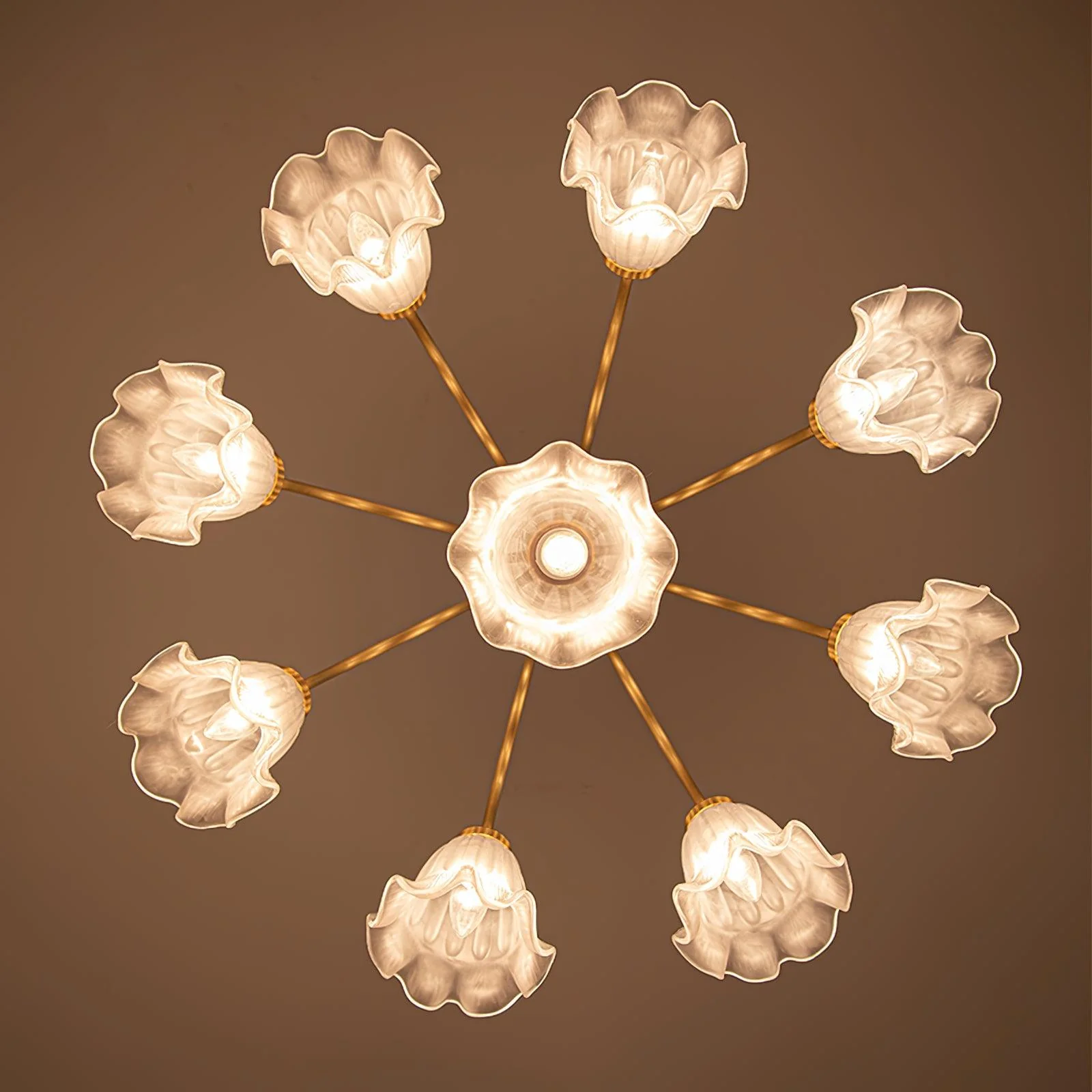 Forrest Luxury Glass Chandelier - Image 13