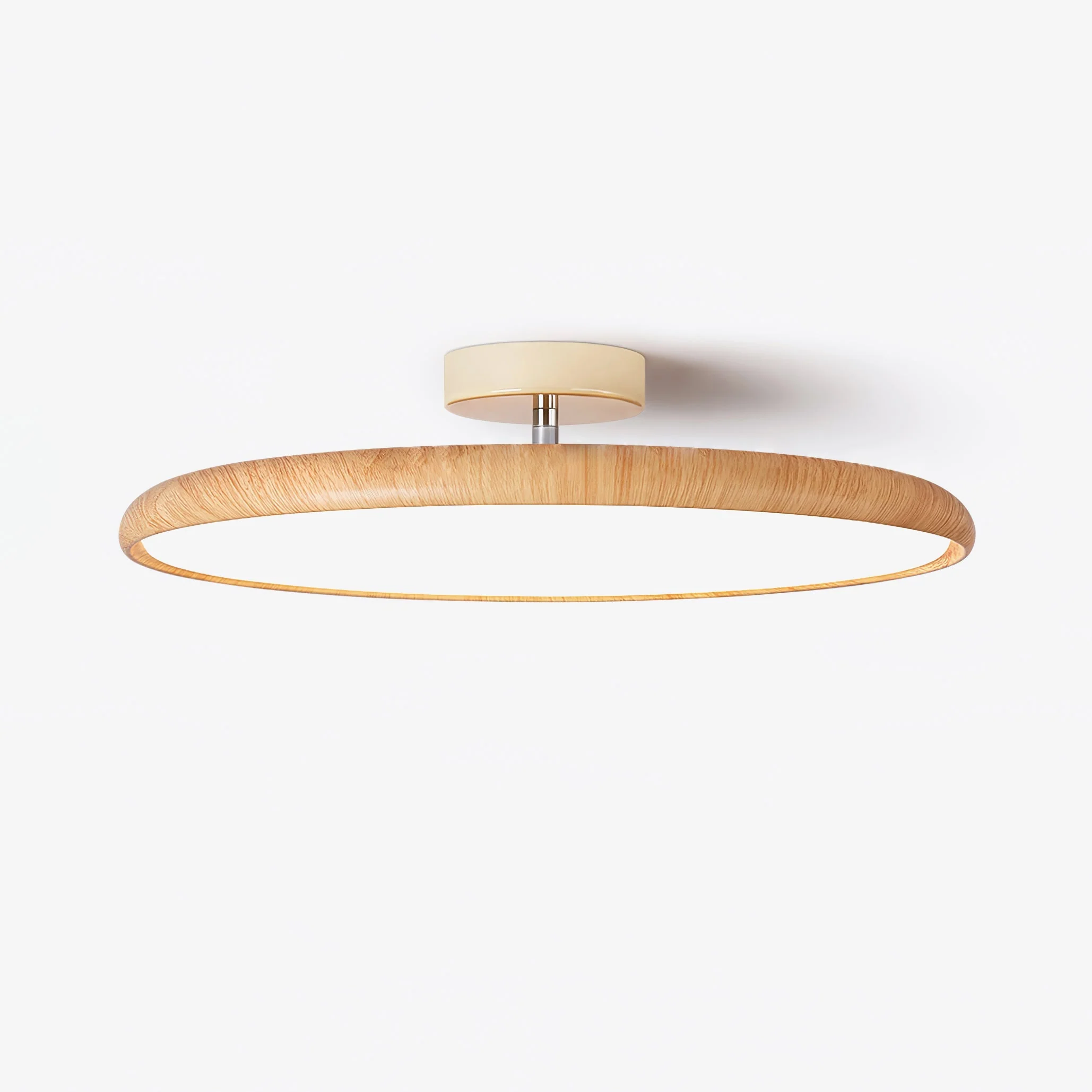 Ishaos Modern Minimalist Adjustable Ceiling Lamp