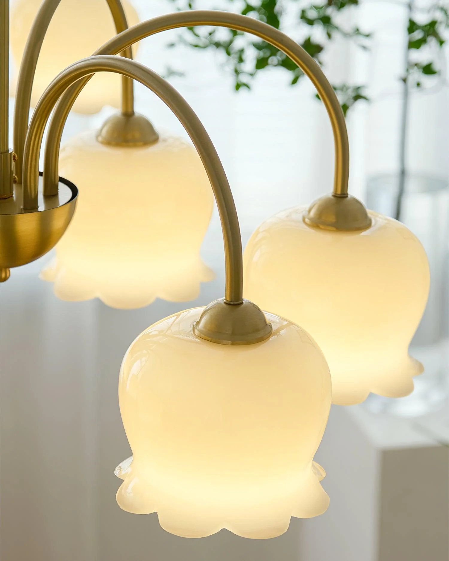 Lustra Chandelier Brass Elegant Curved Arm - Image 32