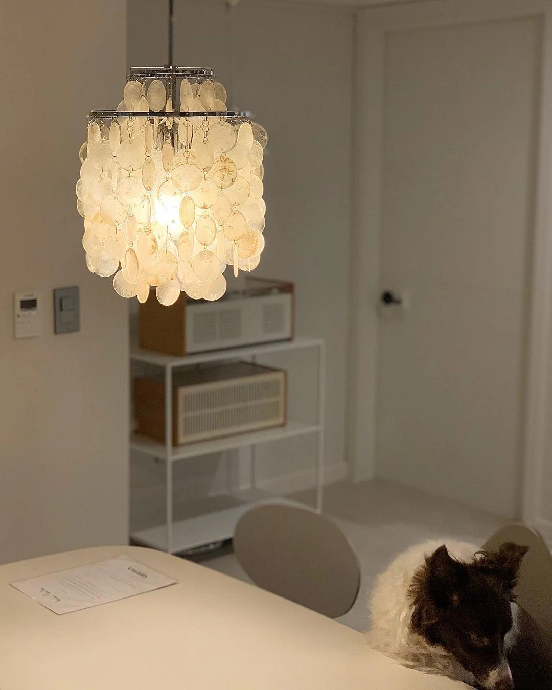 Lustra Pendant Lamp Round Shell Ring - Image 153