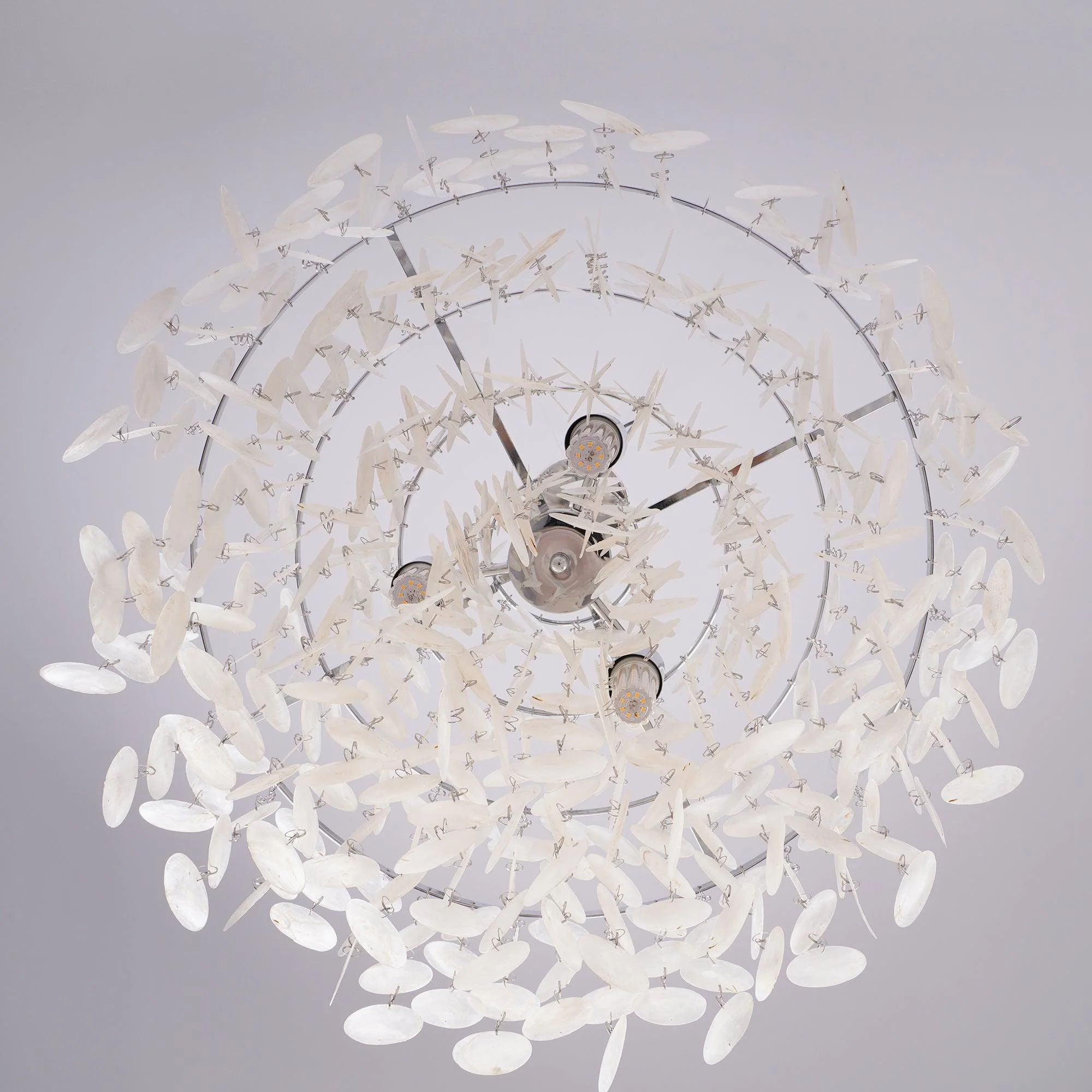 Lustra Pendant Lamp Round Shell Ring - Image 47