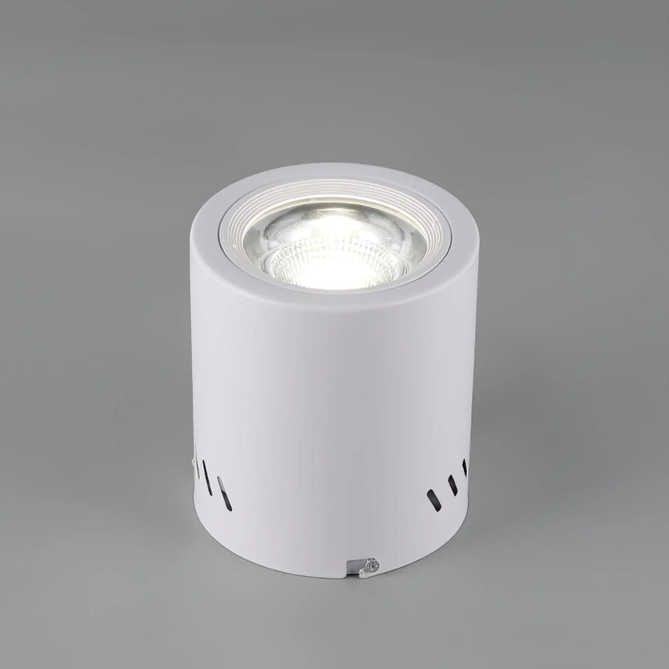 Lustra Spotlight Maxi Rebel Surface-Mounted - Image 3