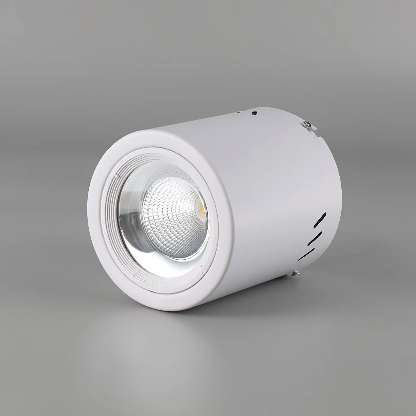 Lustra Spotlight Maxi Rebel Surface-Mounted - Image 7