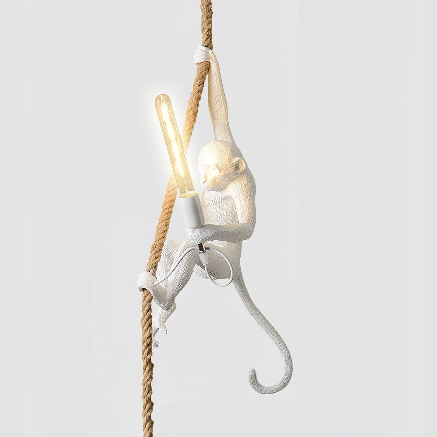 Zalira Resin Rope Artistic Pendant Lamp - Image 32