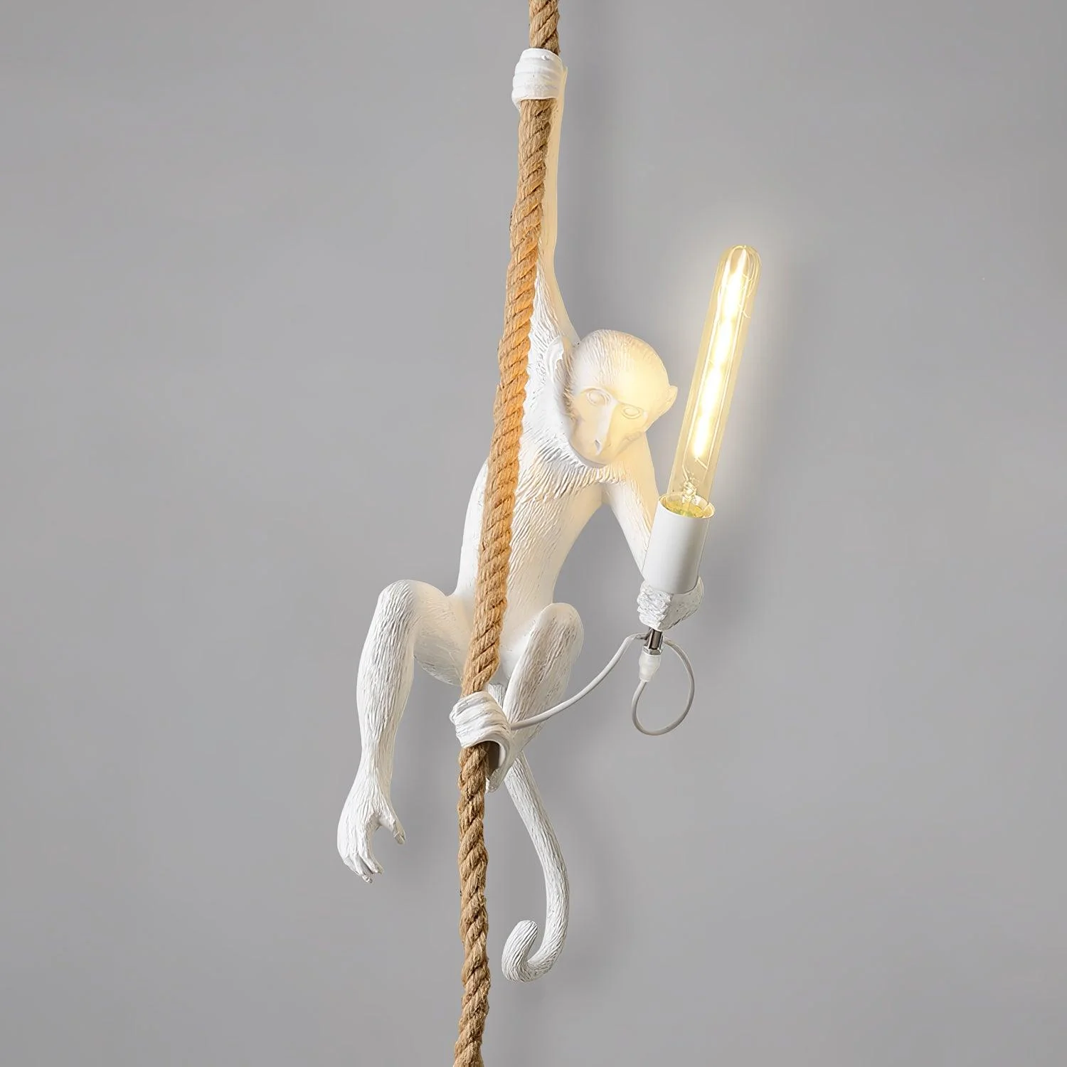 Zalira Resin Rope Artistic Pendant Lamp - Image 5