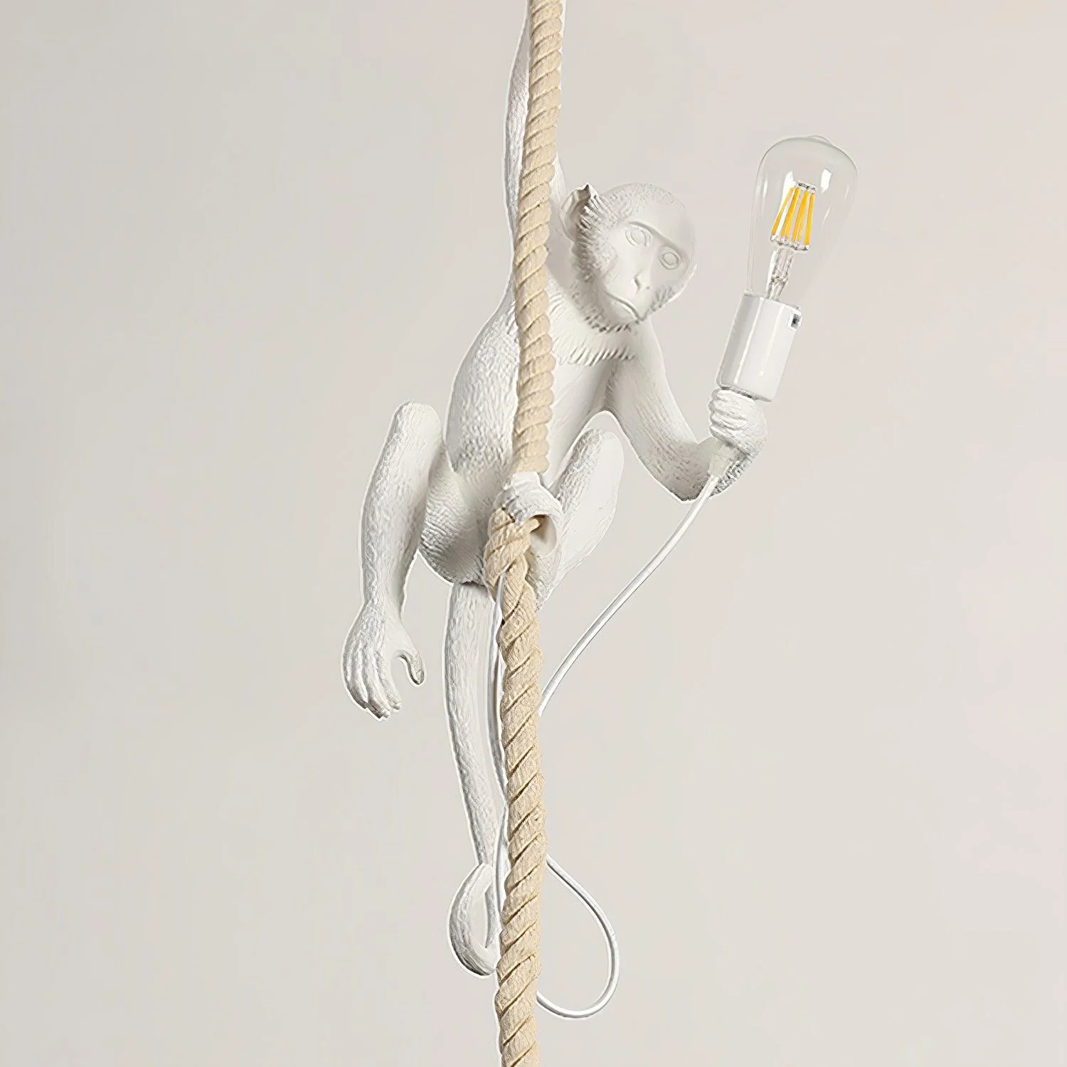 Zalira Resin Rope Artistic Pendant Lamp - Image 6