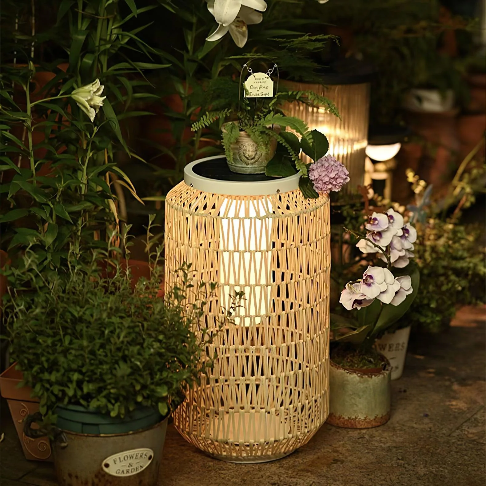 Oliver Vintage Outdoor Lighting - Image 58
