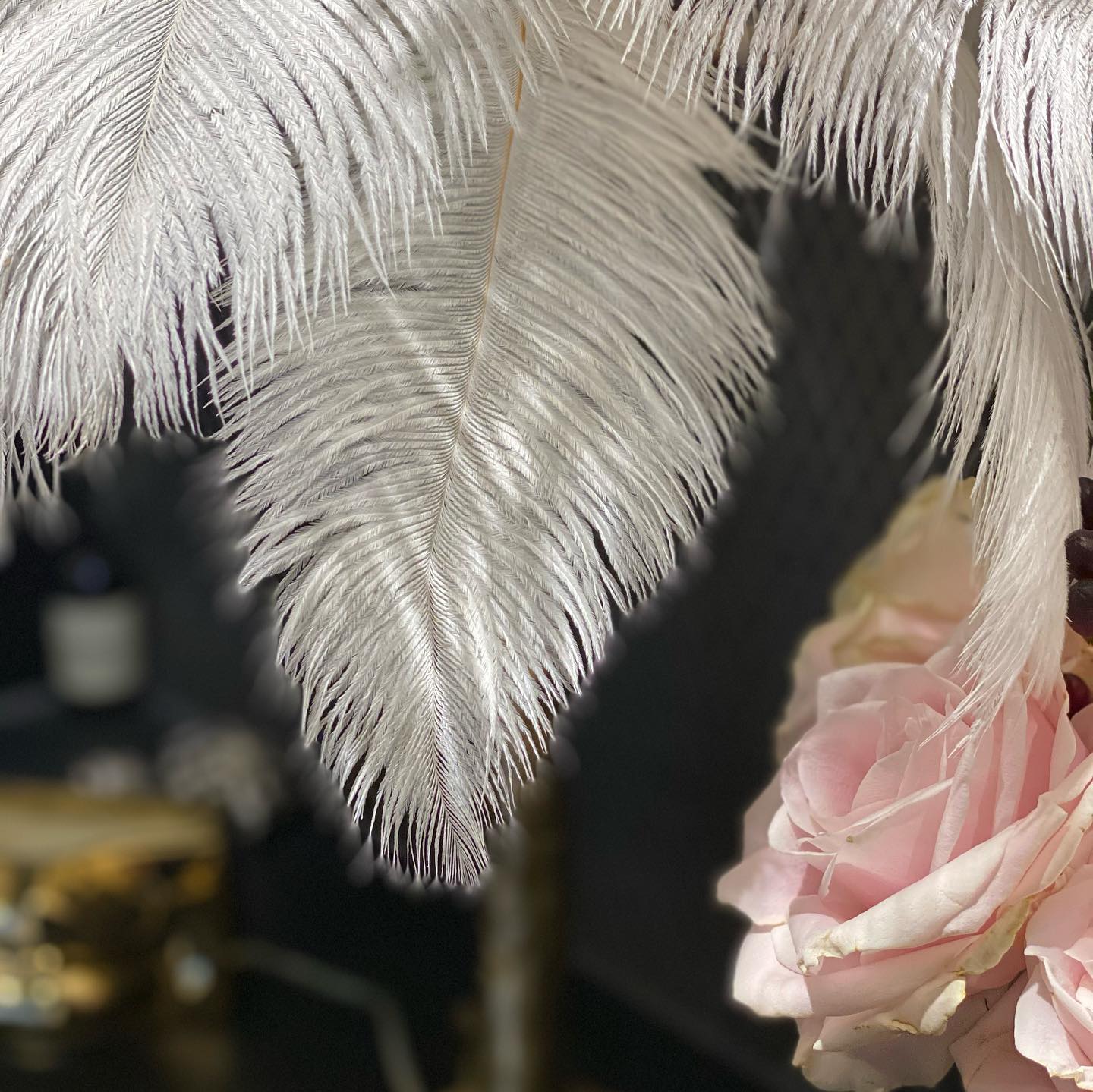 Ostrich Contemporary Feather Table Lamp - Image 52