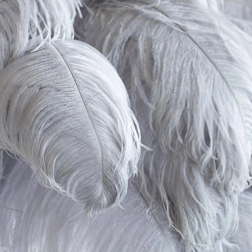 Ostrich Contemporary Feather Table Lamp - Image 56