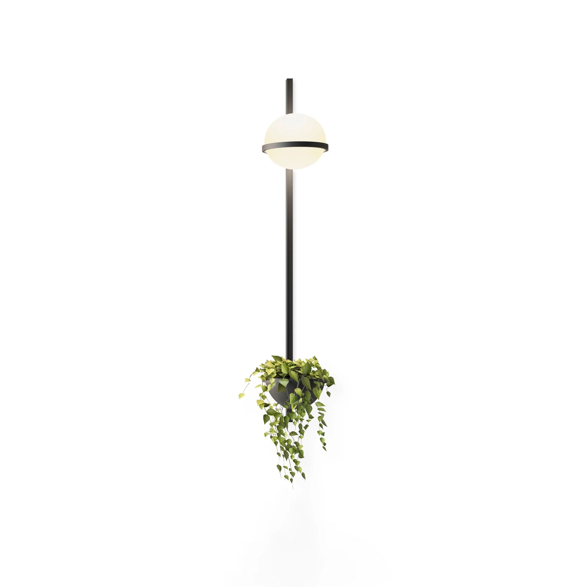 Ray Indoor Outdoor Wall Light - Image 30