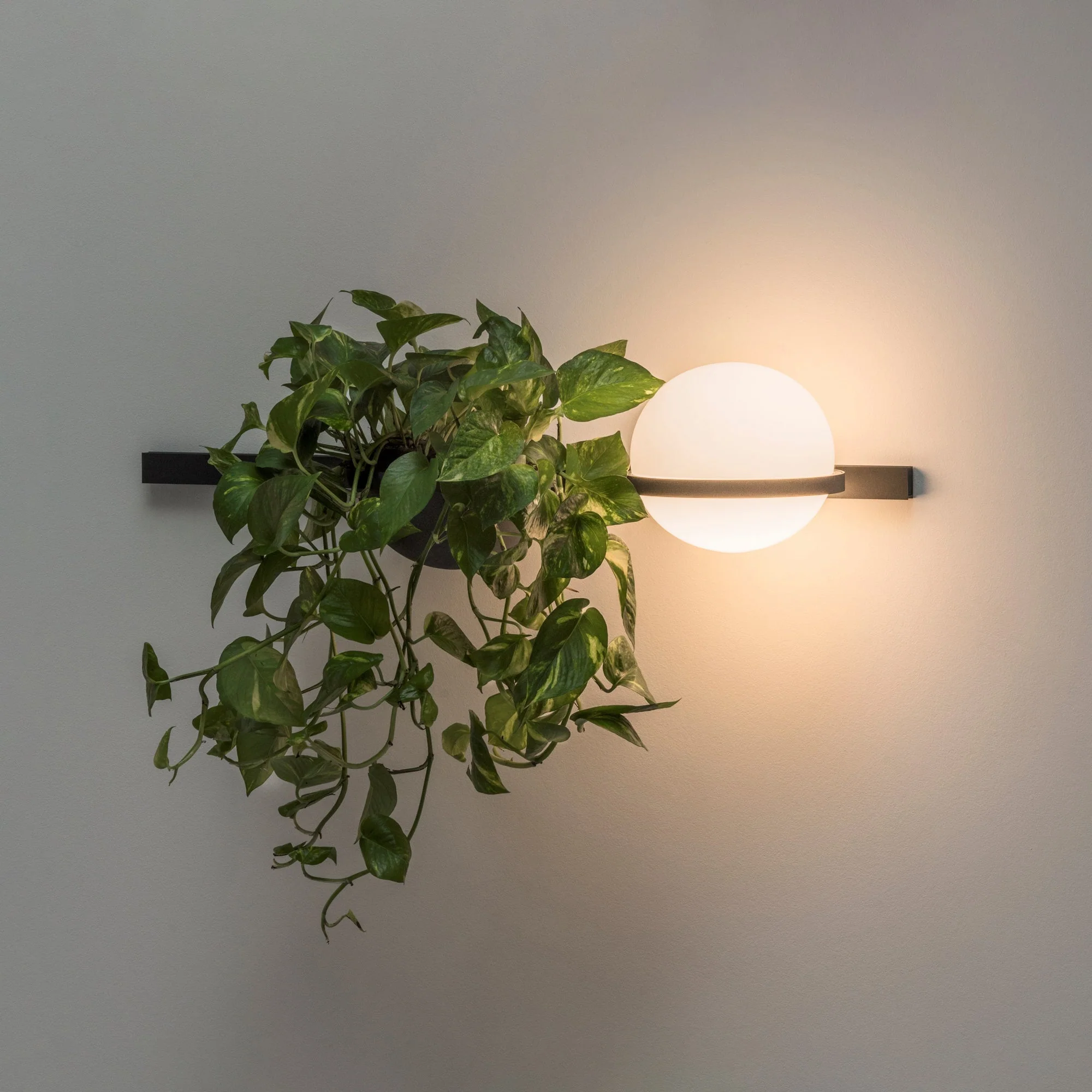 Ray Indoor Outdoor Wall Light - Image 8