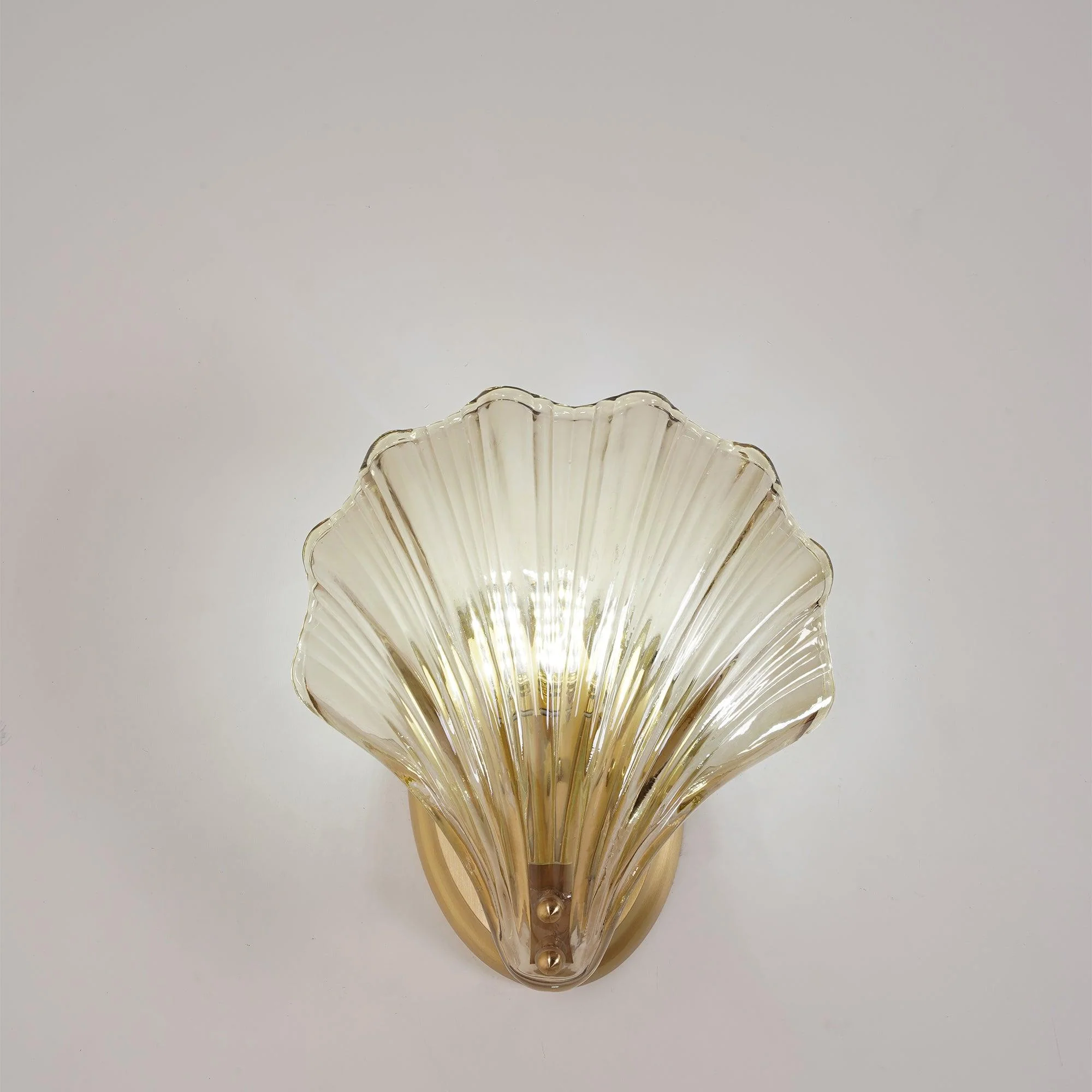 Respected Premium Elegance Brass Glass Wall Light - Image 24