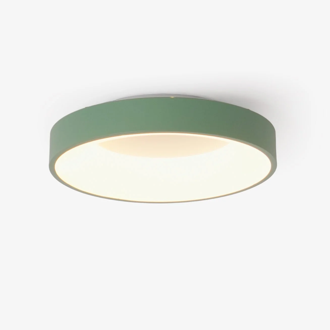 Solara Ceiling Light Iron Contemporary Green Shade