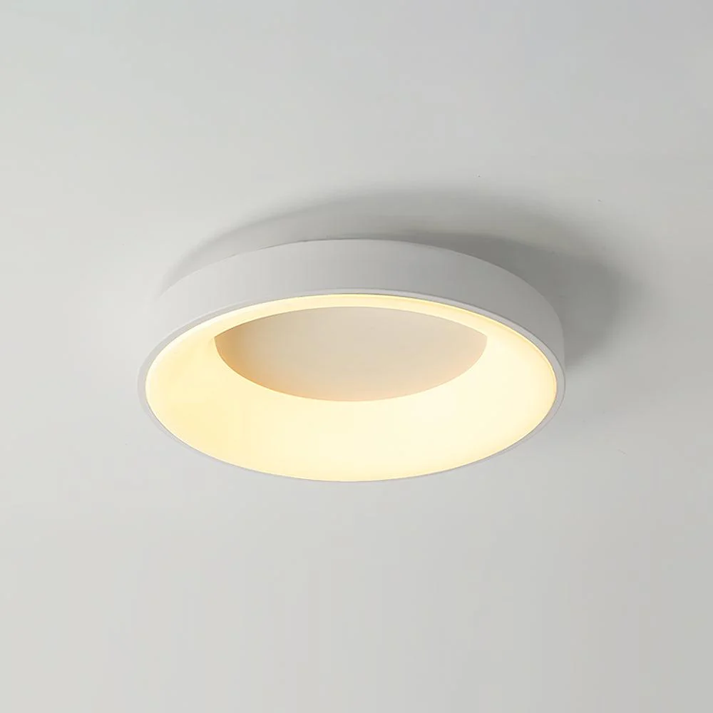 Solara Ceiling Light Iron Contemporary Green Shade - Image 17