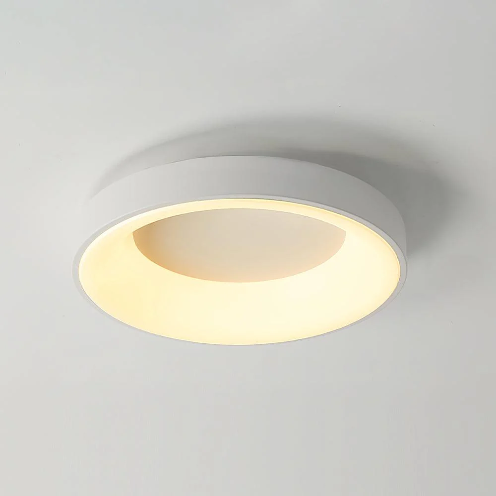 Solara Ceiling Light Iron Contemporary Green Shade - Image 23