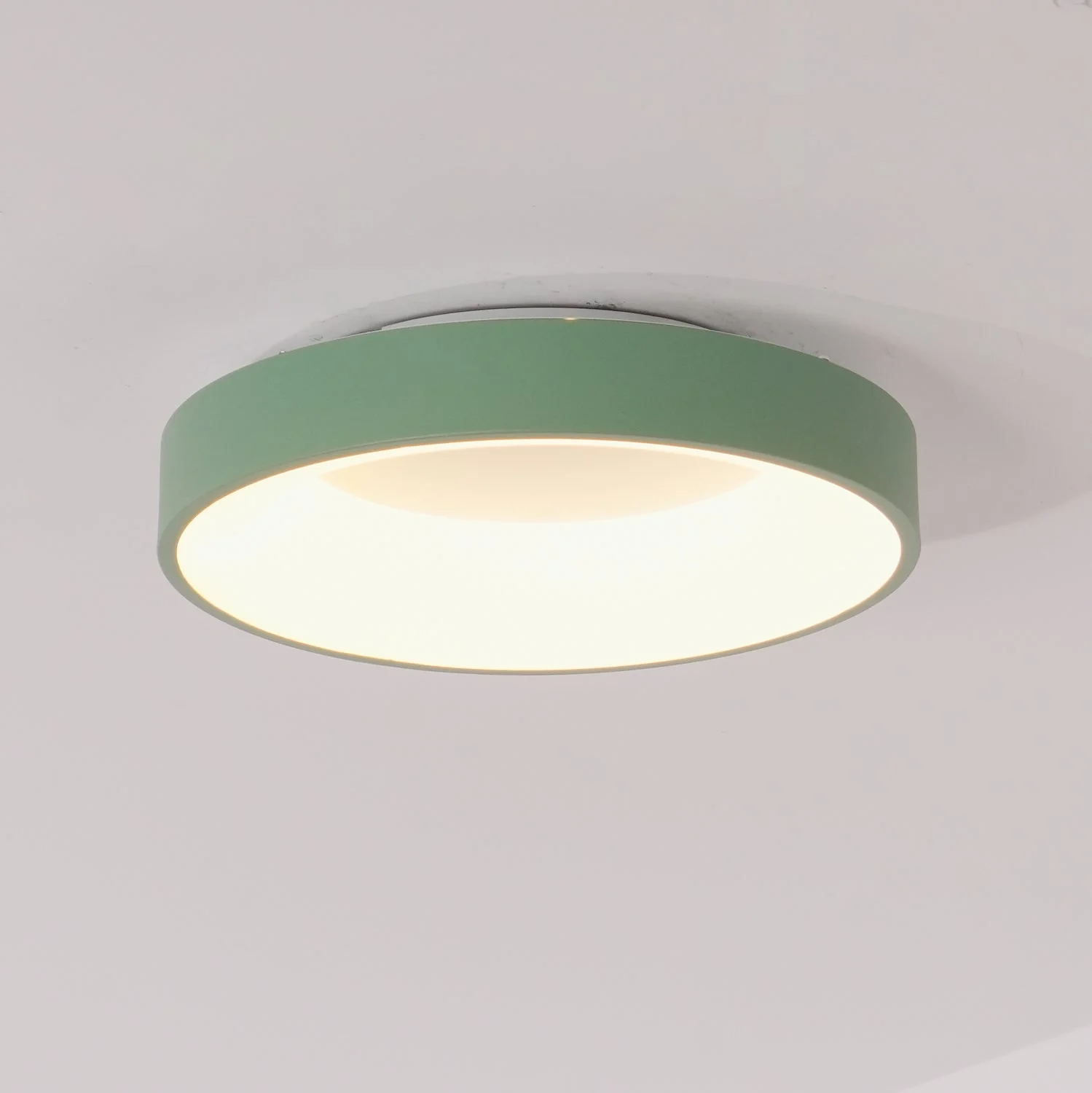 Solara Ceiling Light Iron Contemporary Green Shade - Image 24