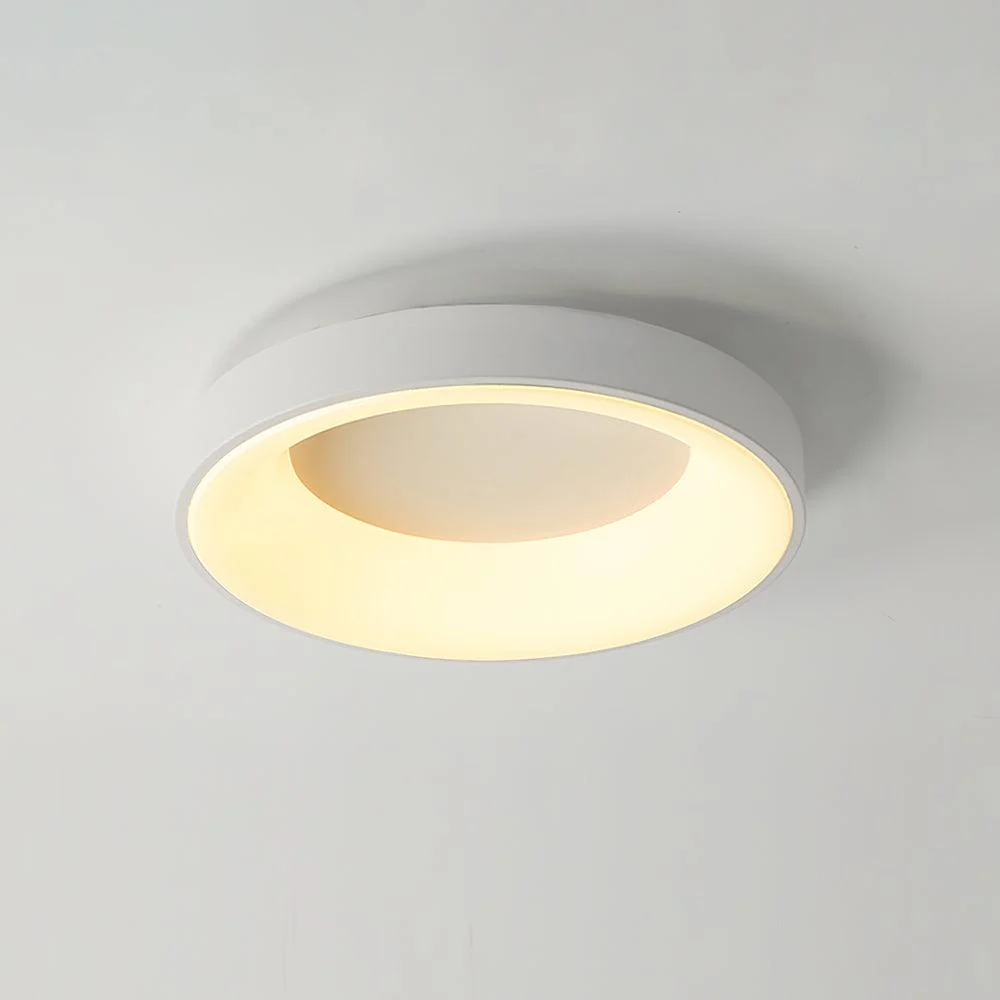 Solara Ceiling Light Iron Contemporary Green Shade - Image 30