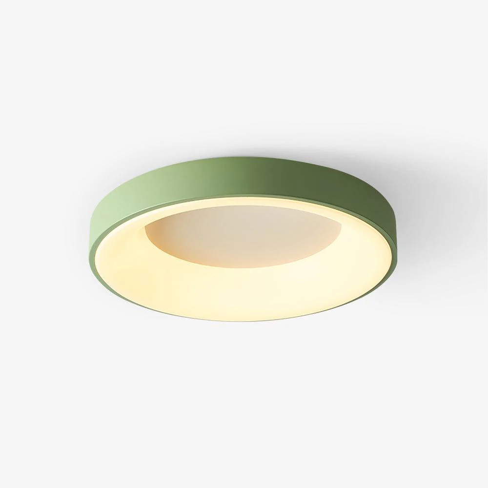 Solara Ceiling Light Iron Contemporary Green Shade - Image 34