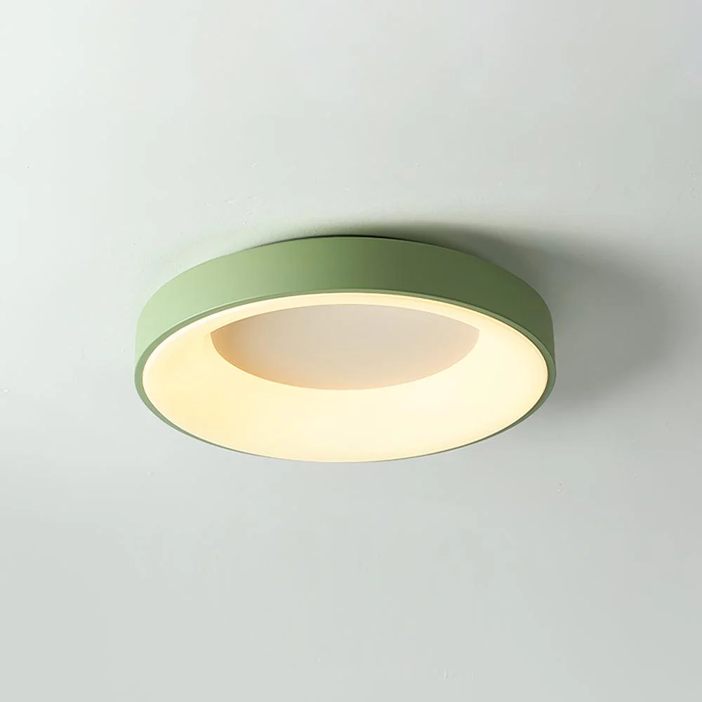 Solara Ceiling Light Iron Contemporary Green Shade - Image 8