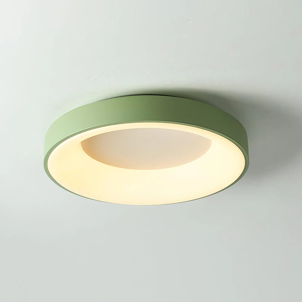 Solara Ceiling Light Iron Contemporary Green Shade - Image 9