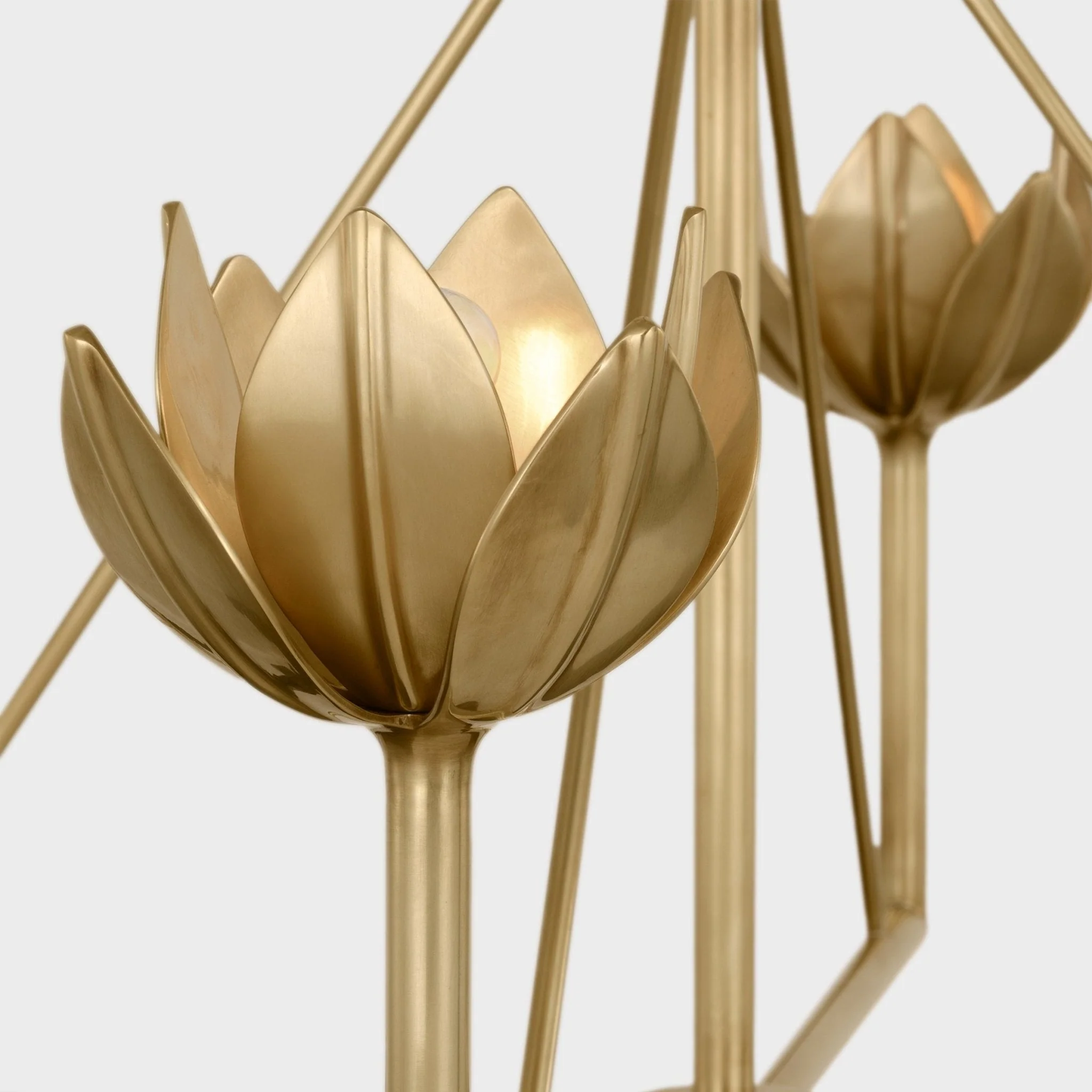 Ulmaris Floral Chandelier - Image 24