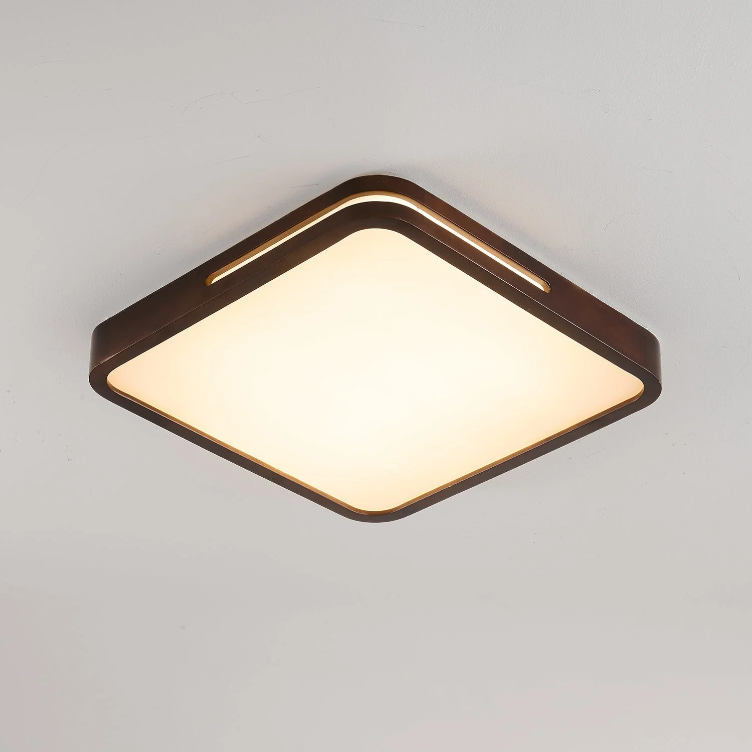 Vizoros Modern Minimalist Ceiling Light - Image 10