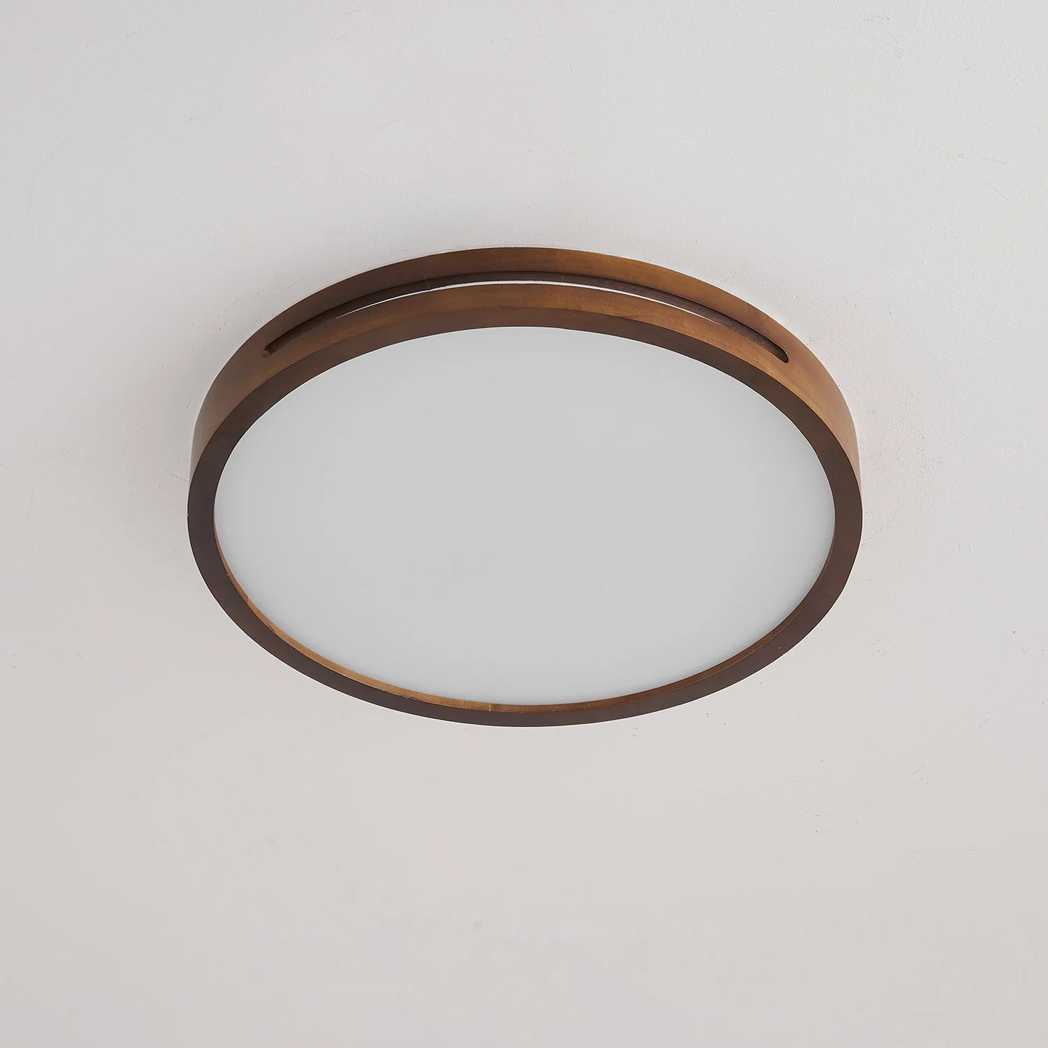Vizoros Modern Minimalist Ceiling Light - Image 11