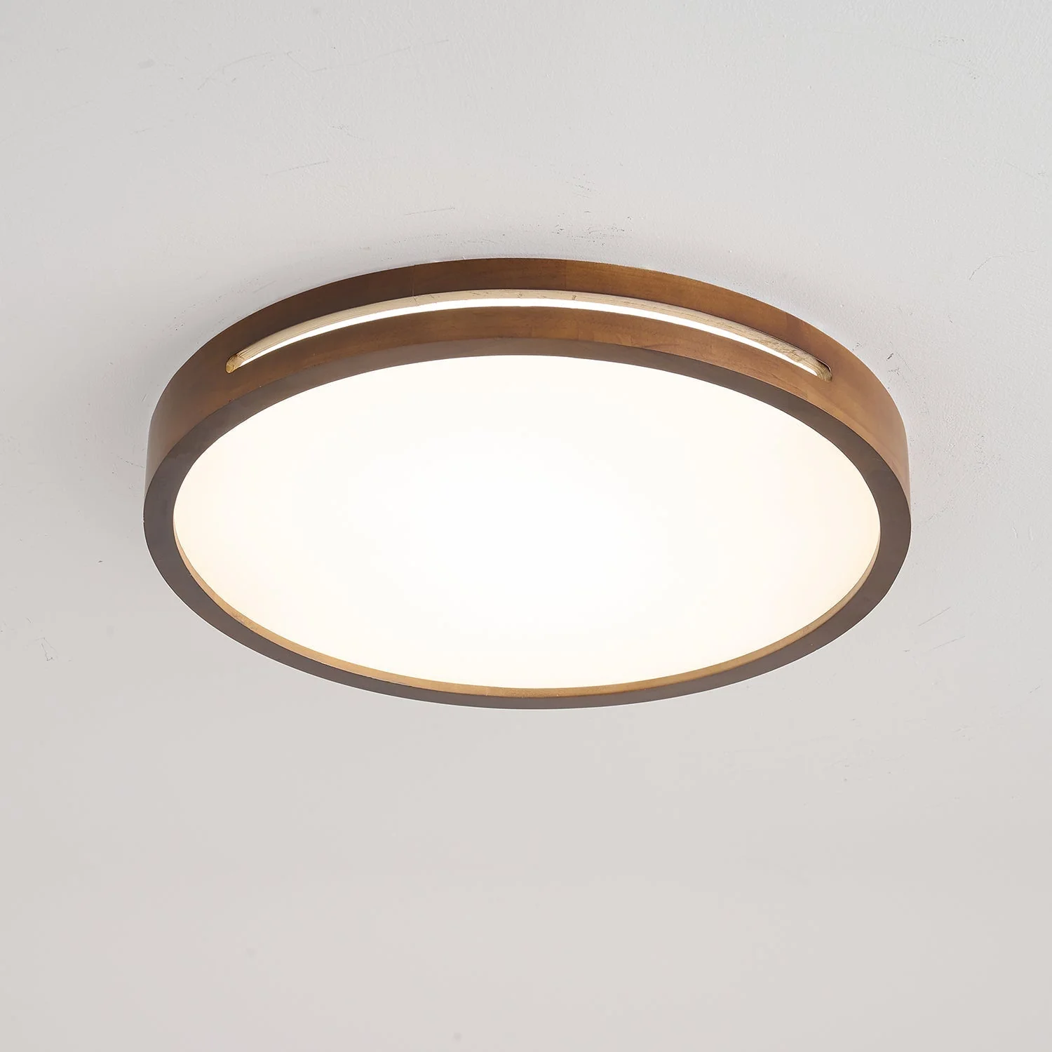 Vizoros Modern Minimalist Ceiling Light - Image 21