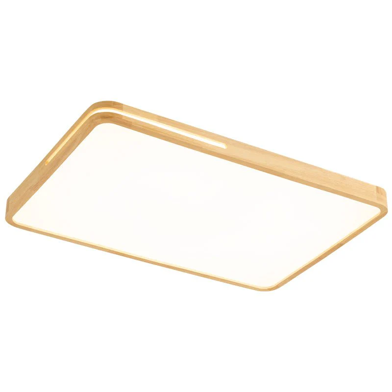 Vizoros Modern Minimalist Ceiling Light - Image 29