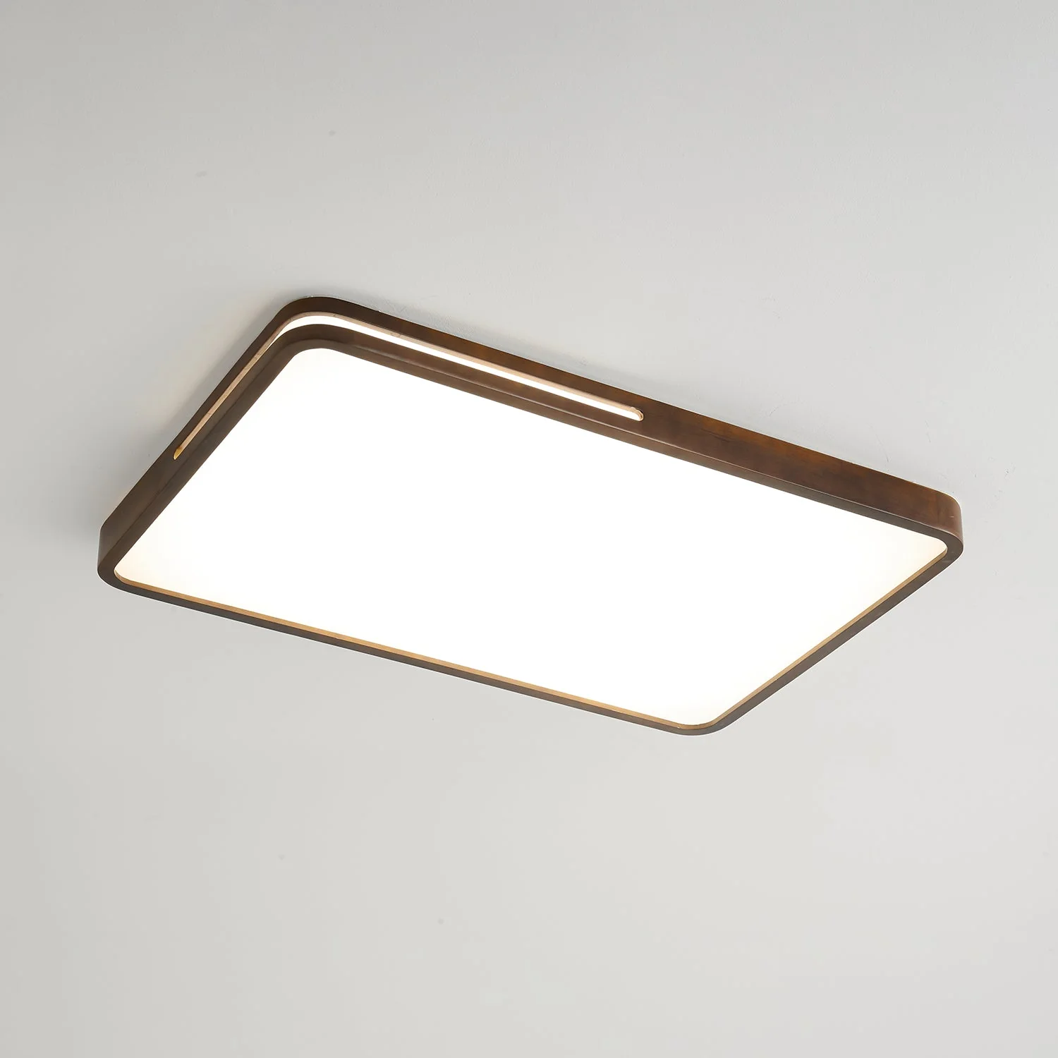 Vizoros Modern Minimalist Ceiling Light - Image 3