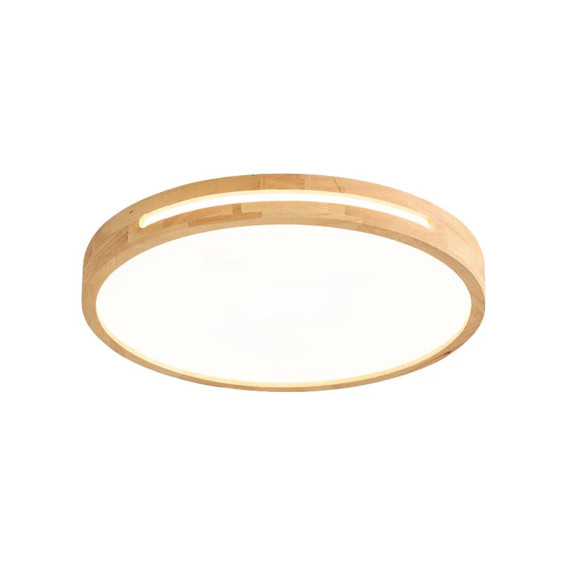 Vizoros Modern Minimalist Ceiling Light - Image 36