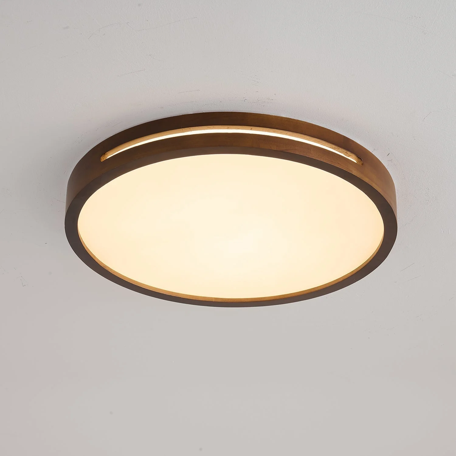 Vizoros Modern Minimalist Ceiling Light - Image 39