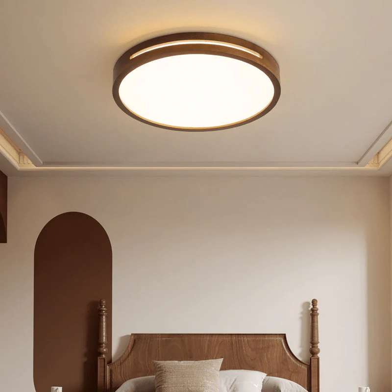 Vizoros Modern Minimalist Ceiling Light - Image 4